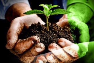 1.9.CC.IdealChurchPlantingModel