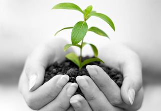 Spiritual_growth_assessment_822362306.jpg
