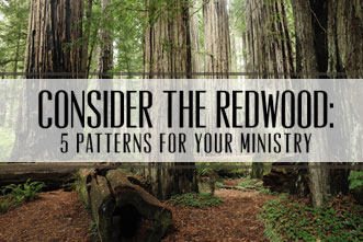 article_images/1.5.ConsiderRedwood_250116557.jpg