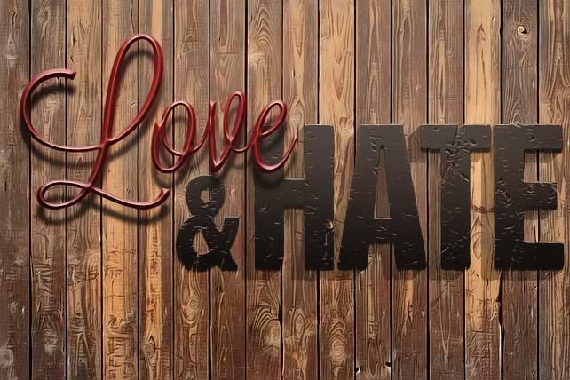 article_images/7.26.LoveHateRelationship_516900520.jpg