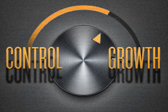 article_images/7.3.ControlOrGrowth_815418890.jpg