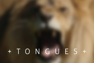 article_images/911Tongues_133095146.jpg