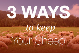 article_images/keep_sheep_small_237120899.jpg
